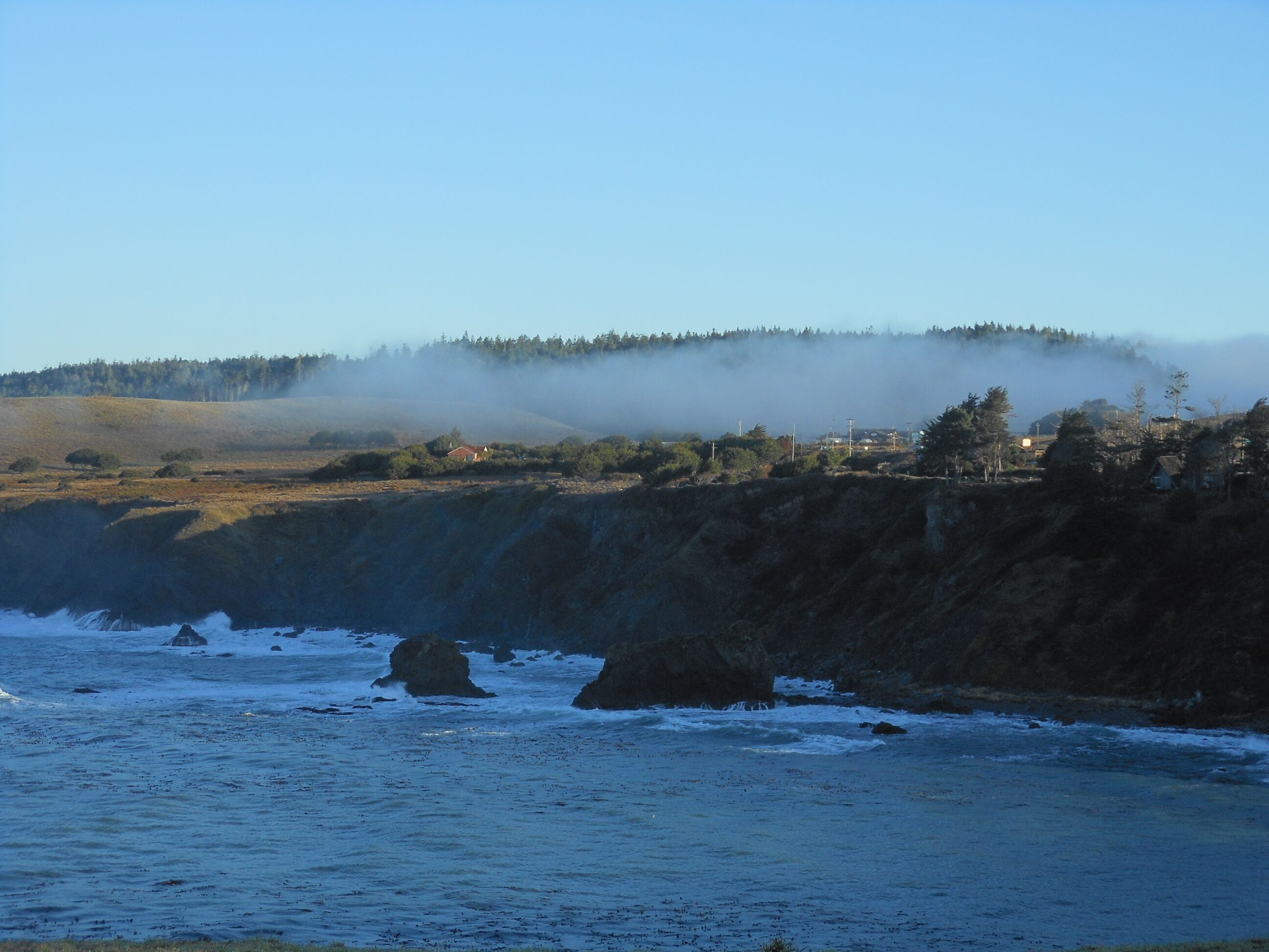 A coastal landscape with rocky shores, a forested hill, and a mist-covered area in the background.