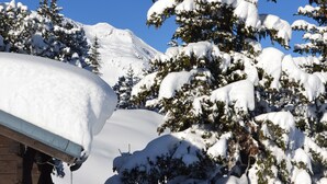 A snow-covered mountain with a clear blue sky. - At the base of the slopes, apartment with balcony/terrace, enclosed garage, nearby shops (Beaufort)