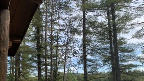 A lakeside seating area with outdoor chairs and a fire pit, surrounded by tall trees and a view of the lake. - Waterfront Log Home on Quiet Lake - 25 Minutes -Sunday River Ski (Waterford)