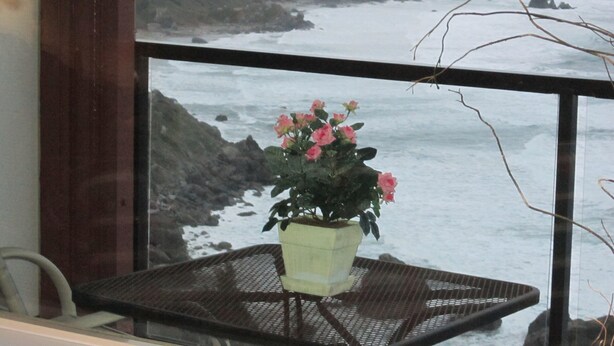 En balkon med en potteplante og havudsigt.