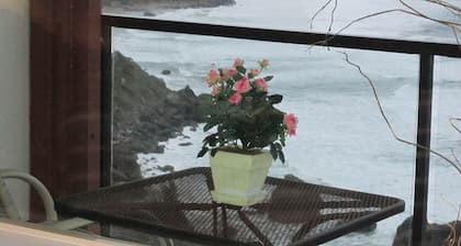 JAW-DROPPING VIEW,trails,family, free day,fireplace,private beach,gated & clean