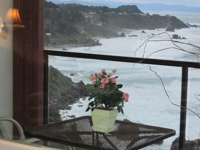 JAW-DROPPING VIEW,trails,family, free day,fireplace,private beach,gated & clean