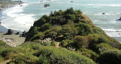 JAW-DROPPING VIEW,trails,family, free day,fireplace,private beach,gated & clean
