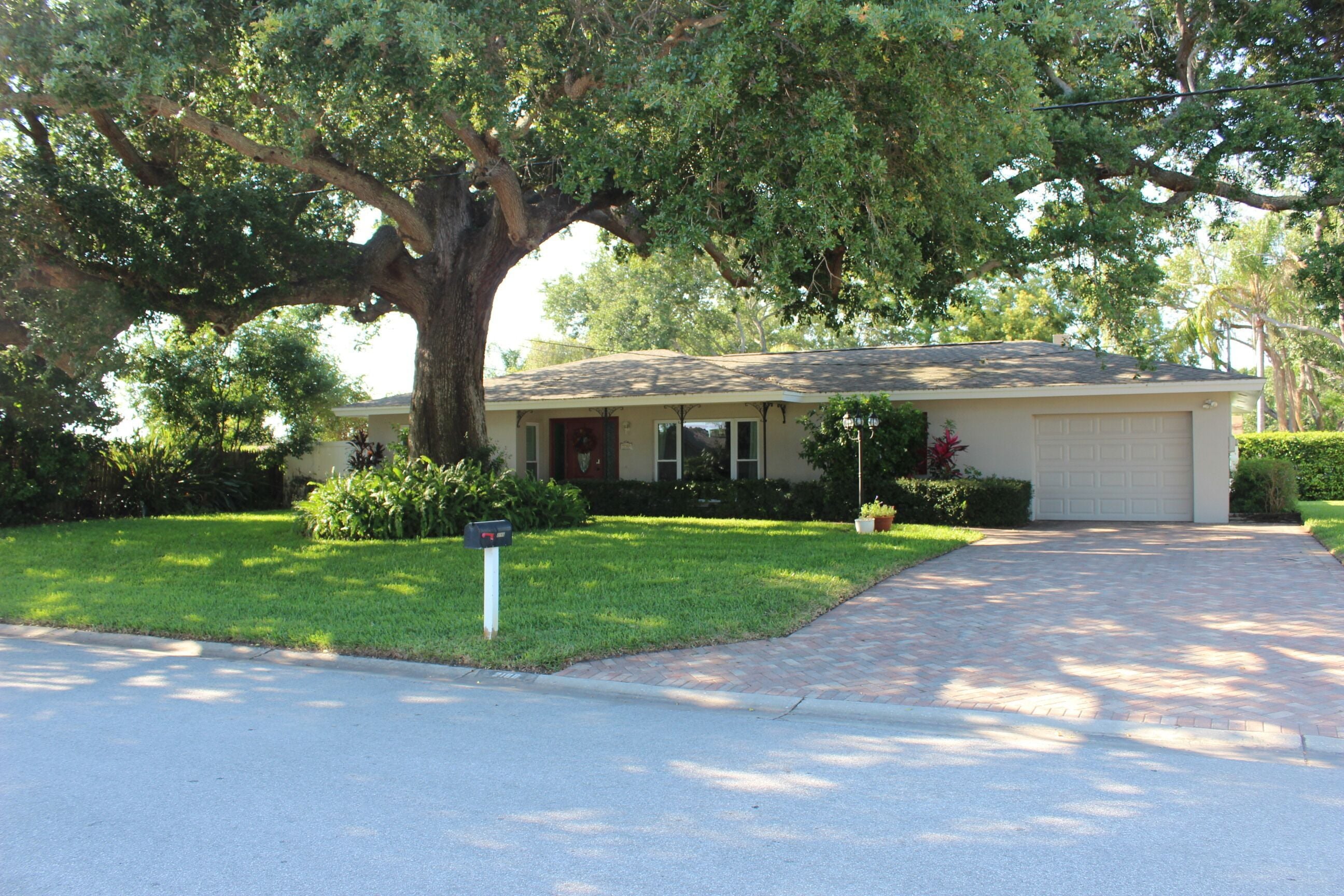 Cozy 3 Bedroom with tons of natural Light!