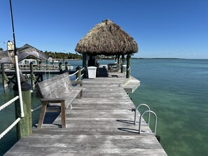 Property grounds - BOOK YOUR DREAM VACATION at  BEACON REEF - JANUARY OPEN DEAL (Islamorada)