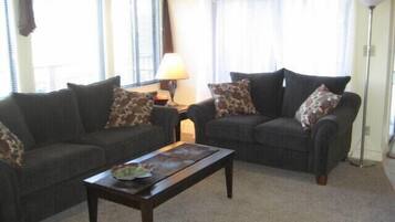 平板电视、壁炉、电子游戏、DVD 播放器