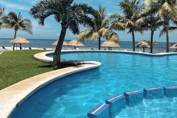 Large pool adults area | kids area
Ocean view
Shaded garden
