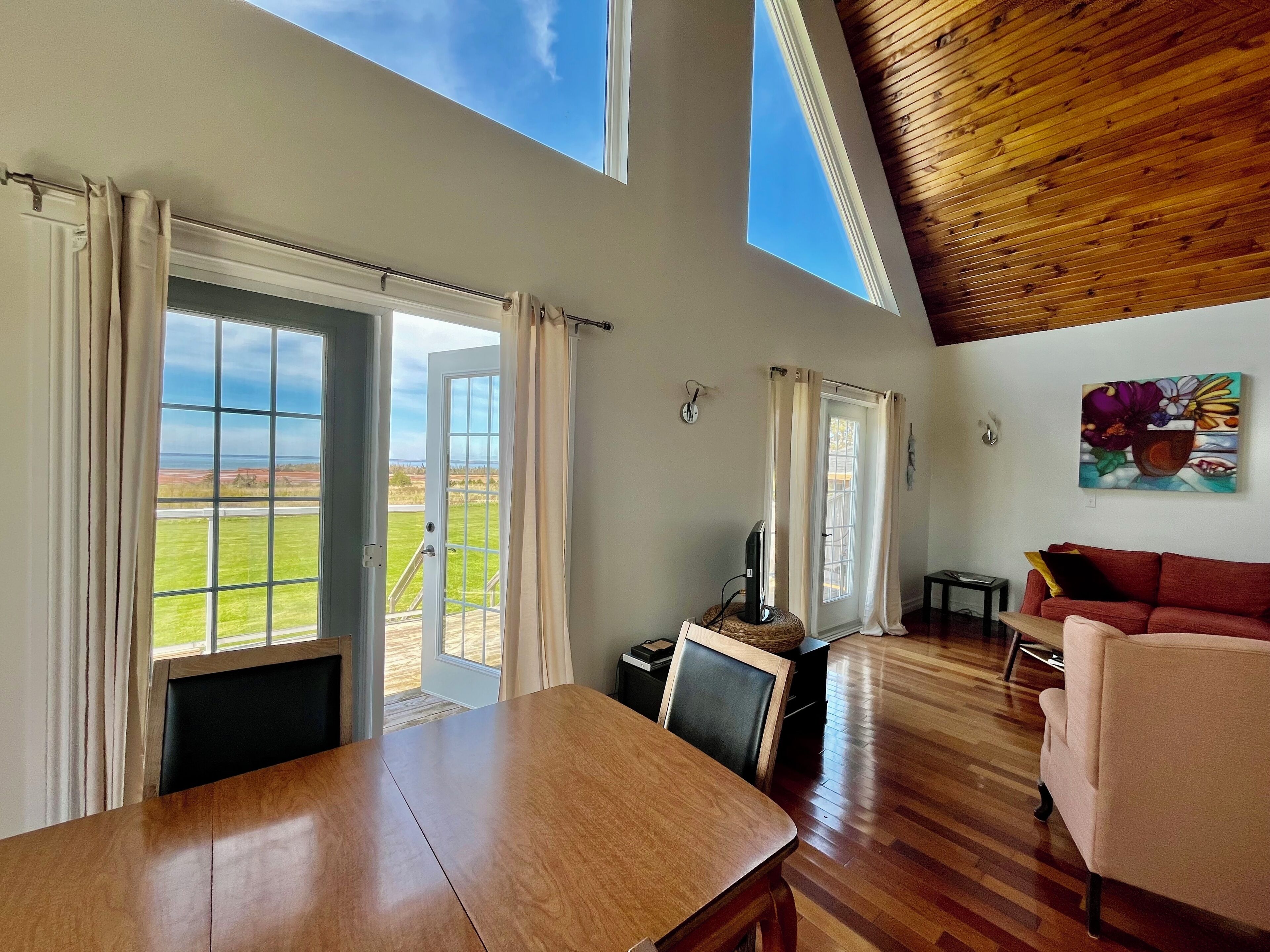 Televisión, reproductor de DVD, libros y videoteca 