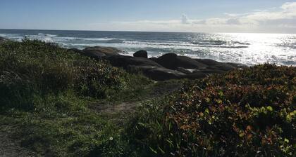 Seven miles of sandy beach. North end of historic 804 Trail. Pet Friendly.