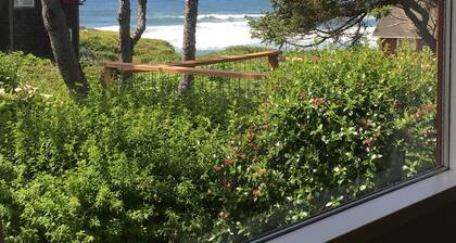 Seven miles of sandy beach. North end of historic 804 Trail. Pet Friendly.