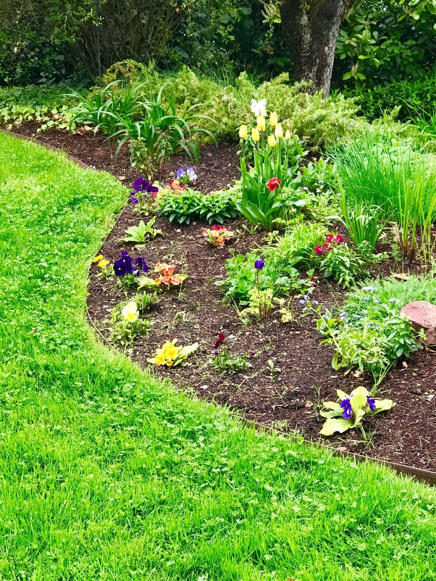 spring garden