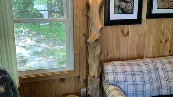 Smart TV, fireplace, DVD player, books