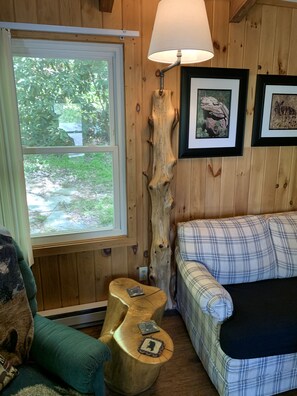 Smart TV, fireplace, DVD player, books - On Babbling Brook - Hot Tub - Grill - Fireplace - WiFi - Fenced - Pets OK (Penrose/Little River)