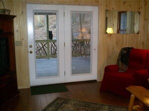 Smart TV, fireplace, DVD player, books