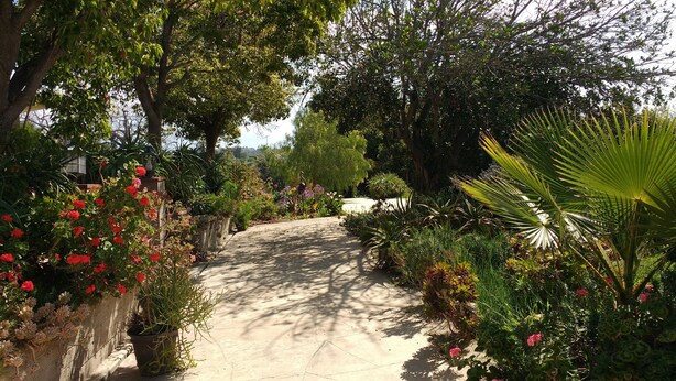 Un sendero serpentea a través de un jardín lleno de plantas y flores.