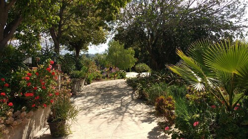 Country Cottage with hilltop views - Families and Pets welcome!