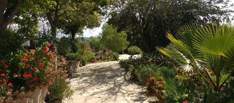 Country Cottage with hilltop views - Families and Pets welcome!