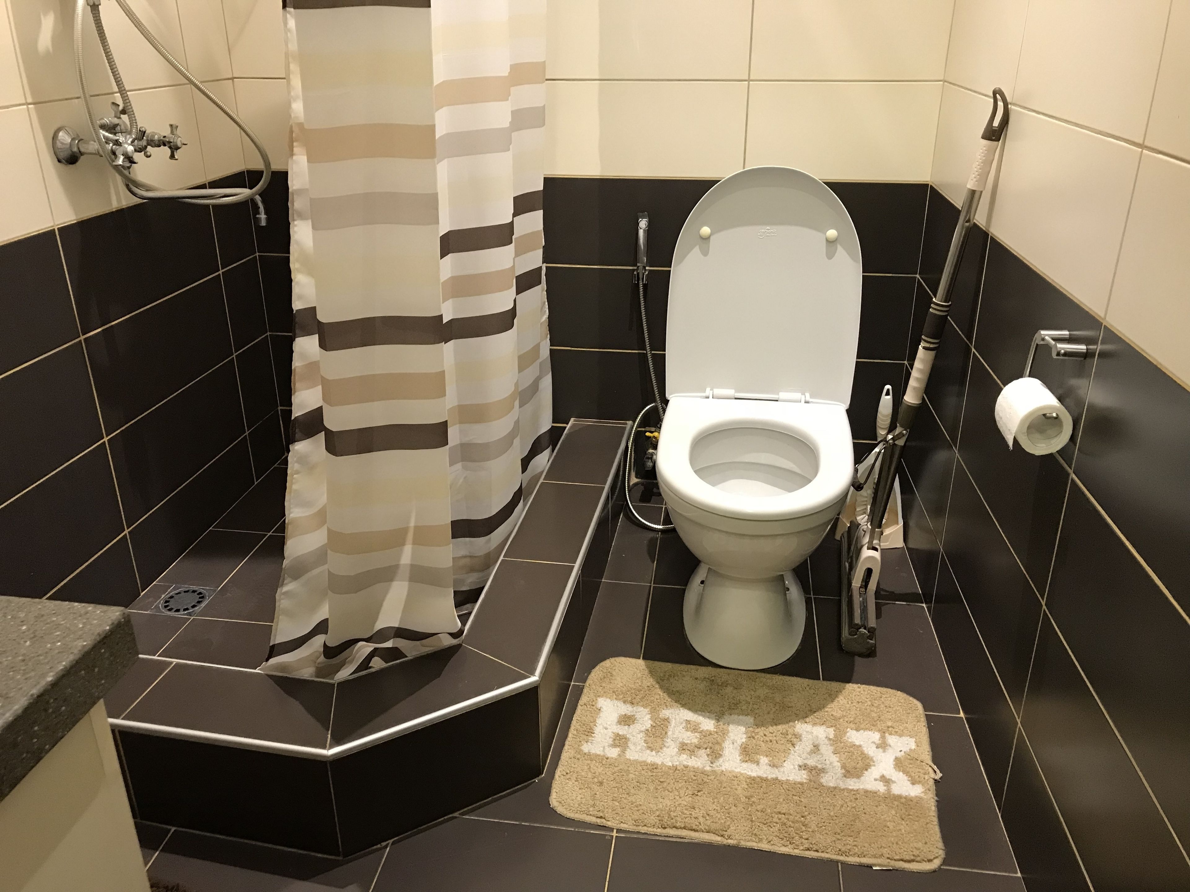 A bathroom with a toilet, shower, and a towel rack.