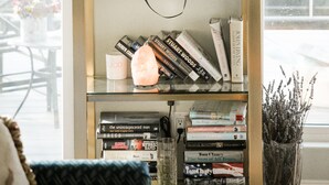 A bookshelf with books, a camera, and decorative items. - New Home w Expansive Ocean and Sunset Views, Steps to the Seal Cove Beach (Moss Beach)