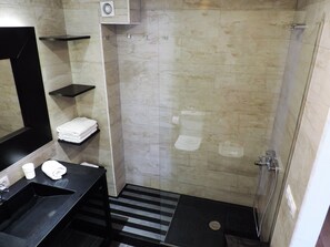 Shower, hair dryer, bidet, towels