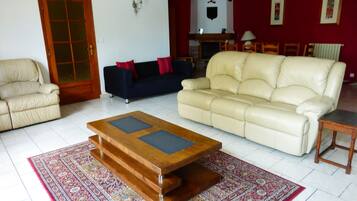 Een televisie, een open haard, een dvd-speler en boeken