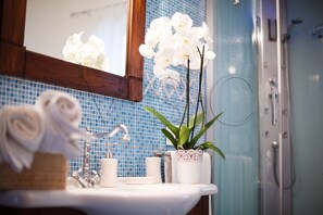Shower, hair dryer, bidet, towels