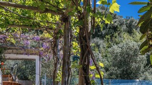 Un sendero de piedra conduce a una pérgola de madera con hiedra trepadora y vistas a un jardín y un edificio al fondo.