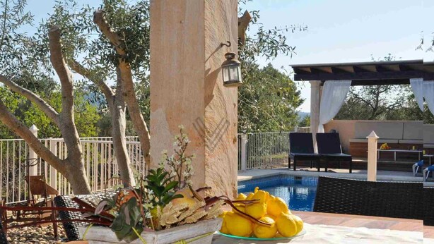 Area piscina con fioriera in legno contenente piante e limoni, barbecue e posti a sedere all'aperto.
