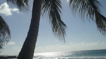 On the beach, sun loungers, beach towels