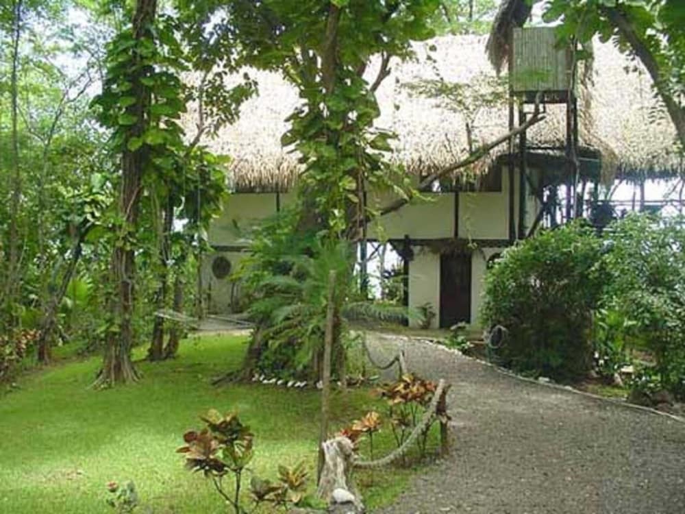 Tree Tops Bed and Breakfast by null