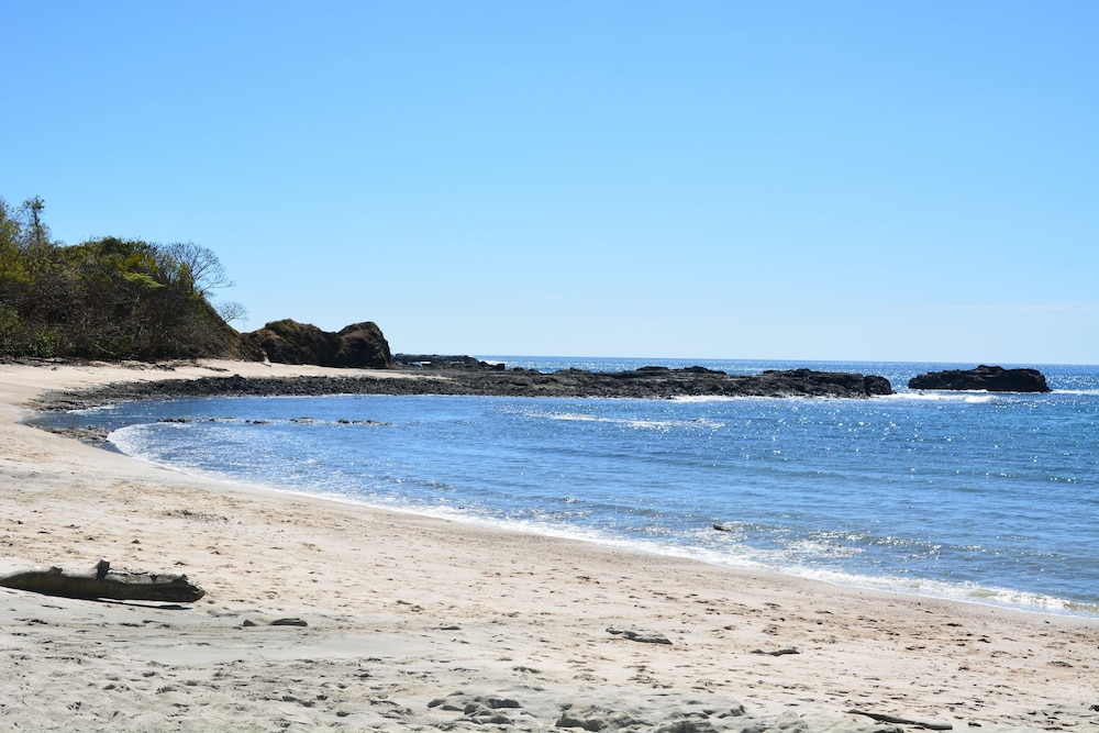 Tree Tops Bed and Breakfast by null