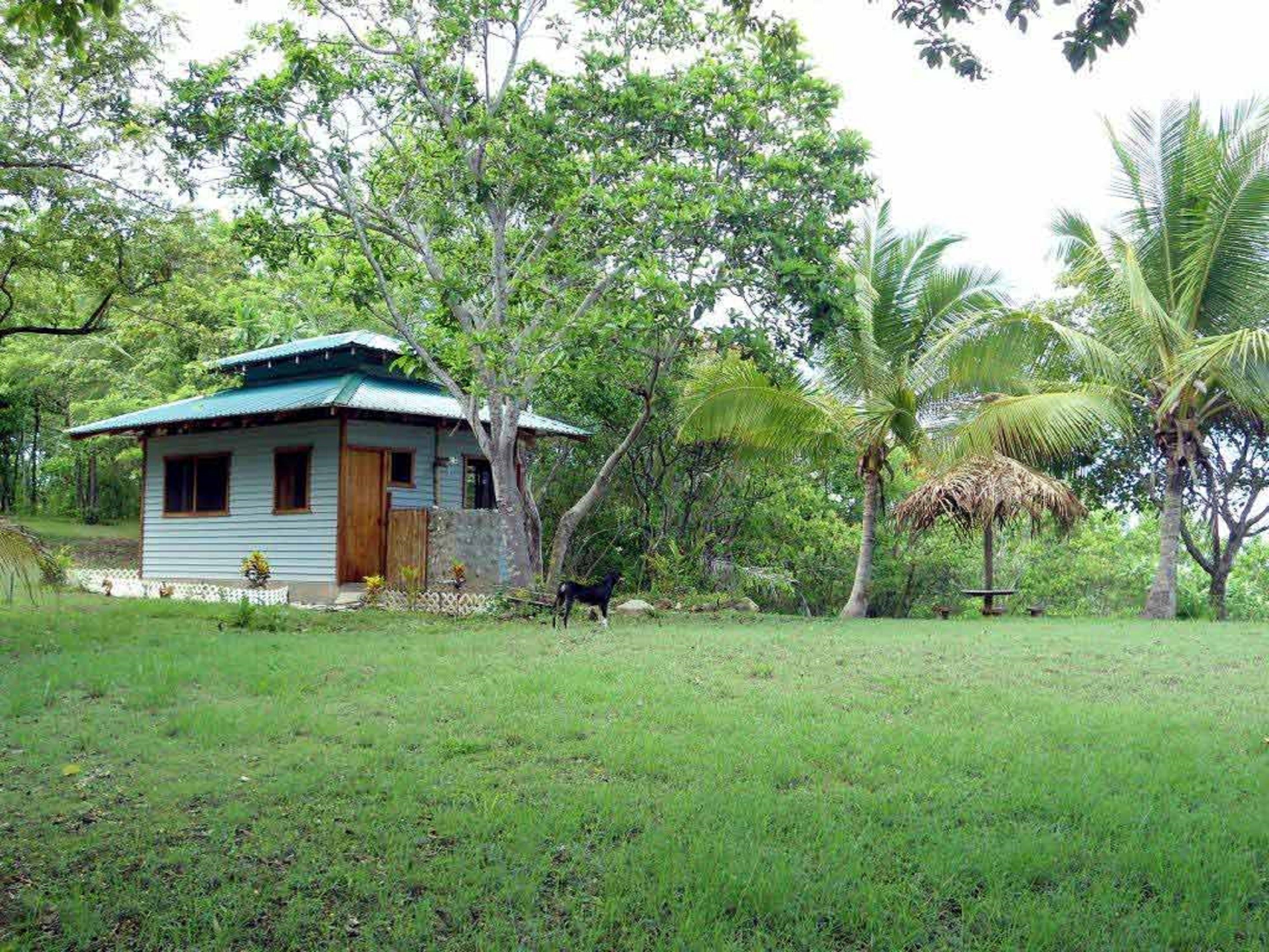 A small house with a green roof and a thatched roof structure, surrounded by lush greenery and palm trees.