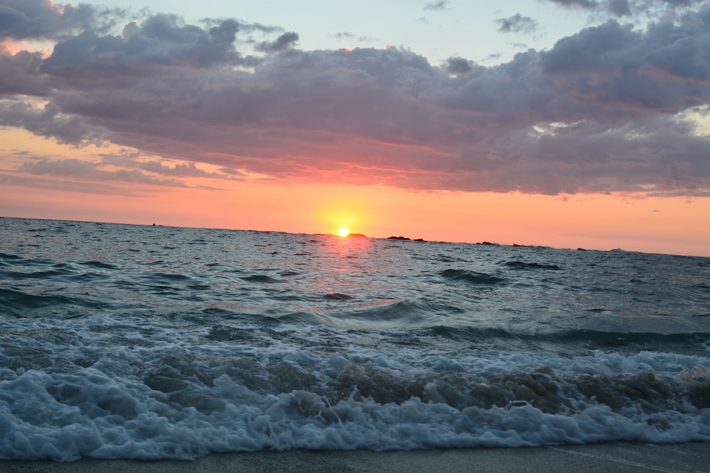 Tree Tops Bed and Breakfast by null