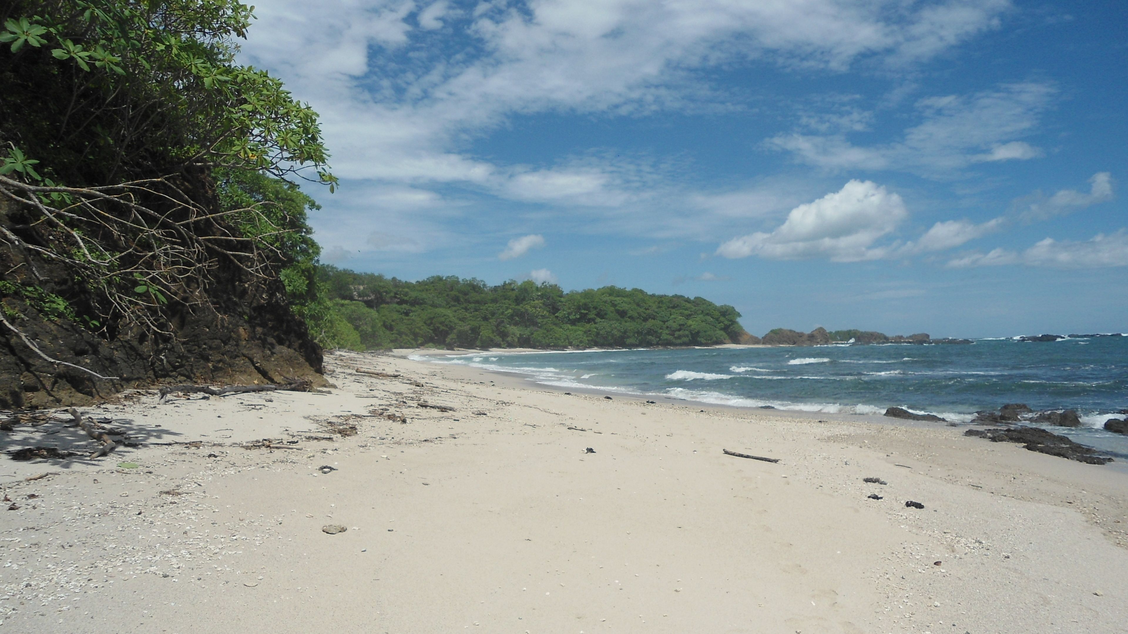 Ein sandiger Strand mit Wellen, eine felsige Klippe und dichtes grünes Grün.