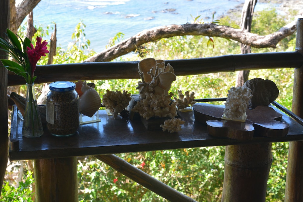 Tree Tops Bed and Breakfast by null