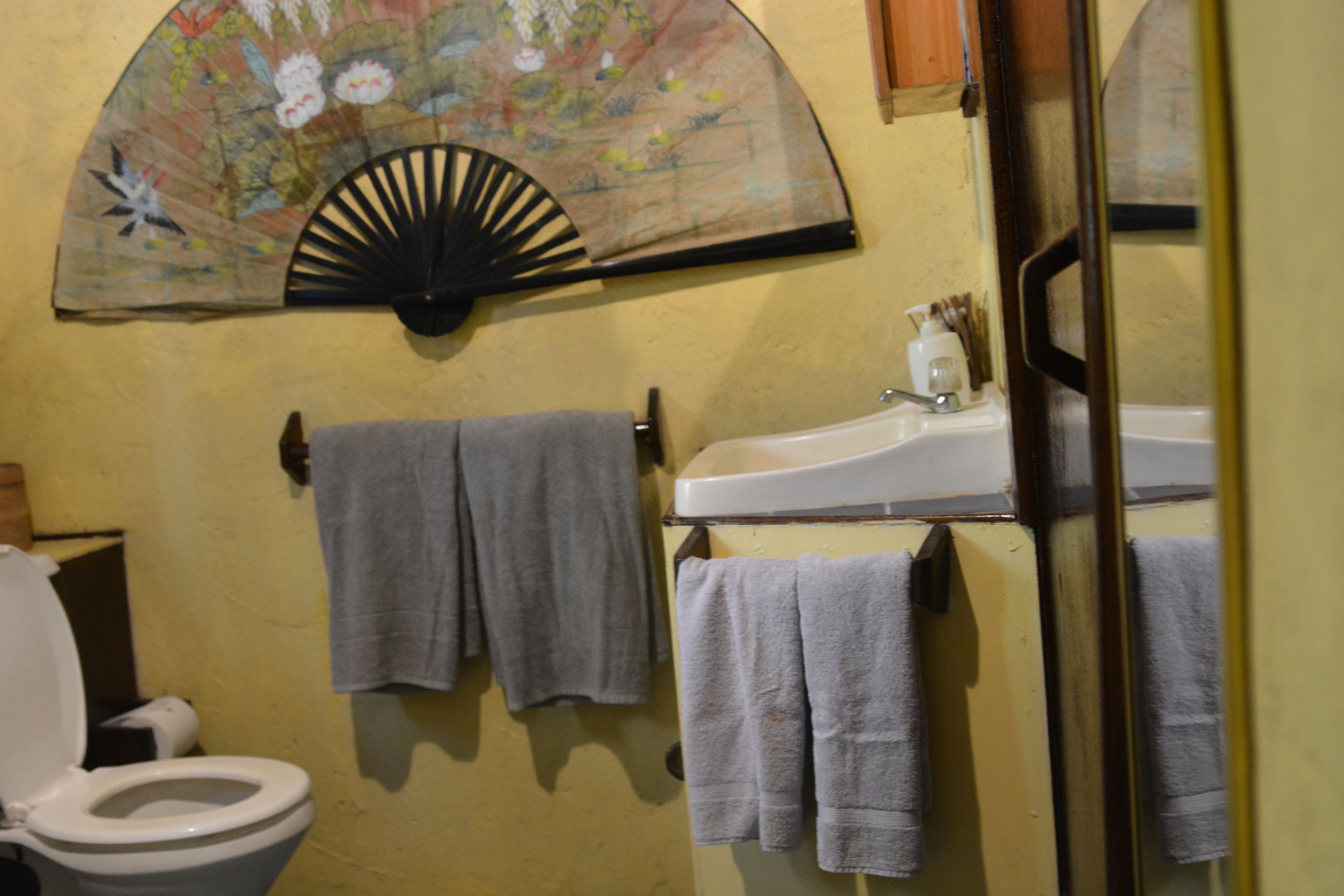 Een badkamer met toilet, wastafel en twee handdoeken aan de muur.
