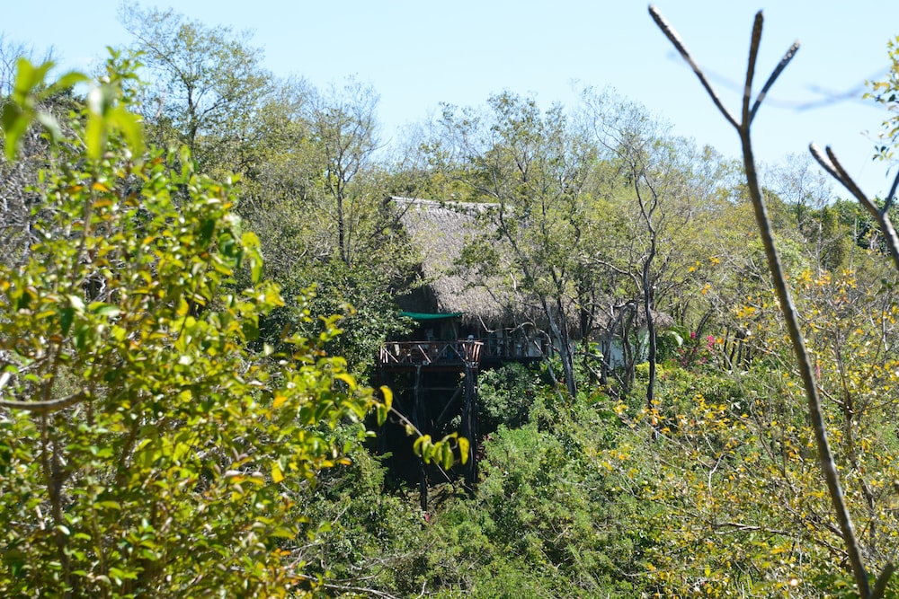 Tree Tops Bed and Breakfast by null
