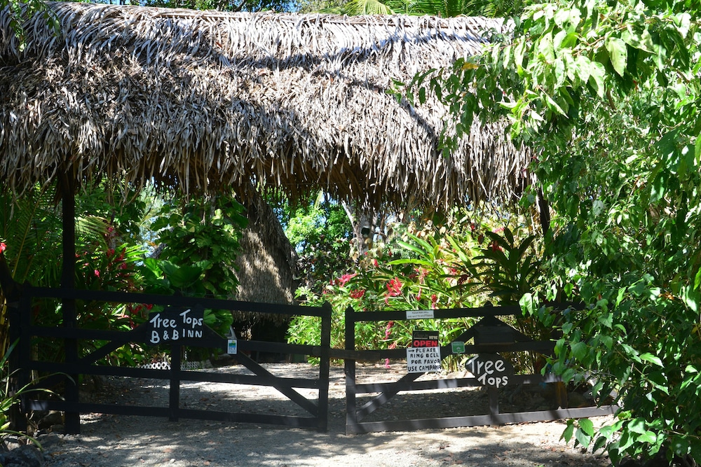 Tree Tops Bed and Breakfast by null