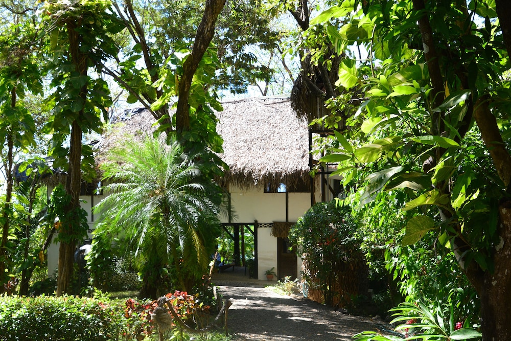 Tree Tops Bed and Breakfast by null