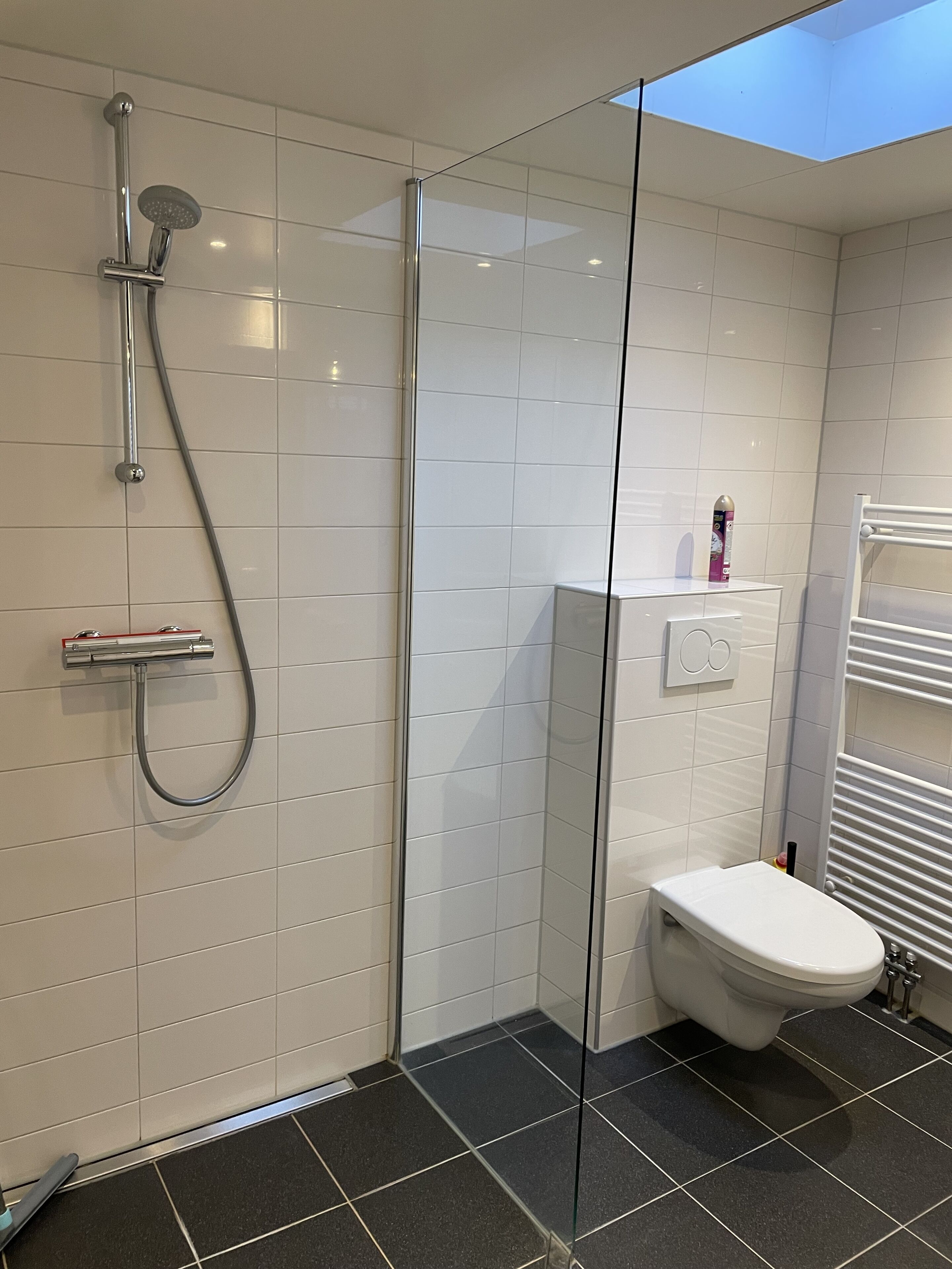 Douche, séchoir à cheveux, serviettes fournies, savon
