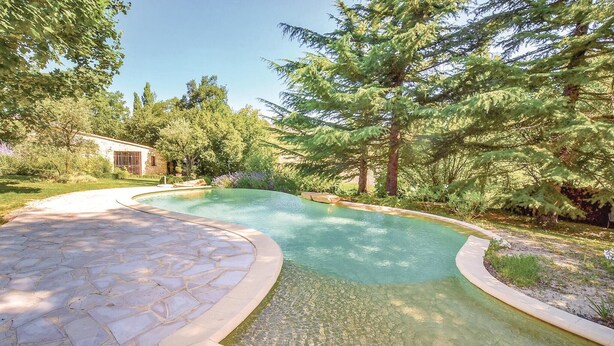 A swimming pool with a stone patio, surrounded by trees and a house. - Luxurious home in Malaucene (Malaucene)