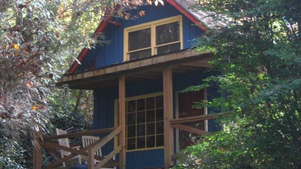 A cabin with a wooden staircase leading to a porch, surrounded by dense forest. - Cozy Cabin at a GREAT price (Whittier)