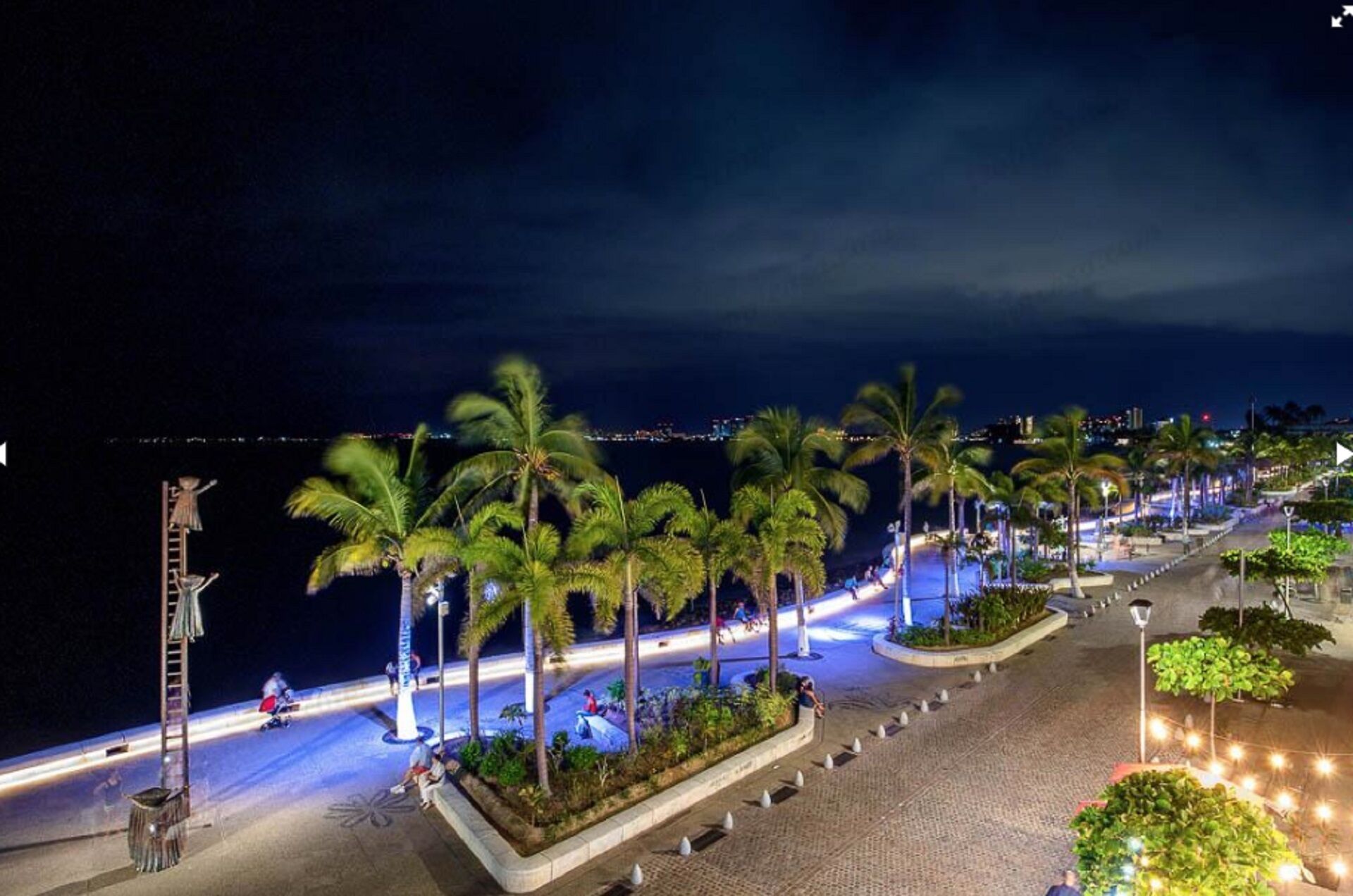 Vista nocturna de un paseo marítimo con palmeras, una acera pavimentada y una masa de agua.