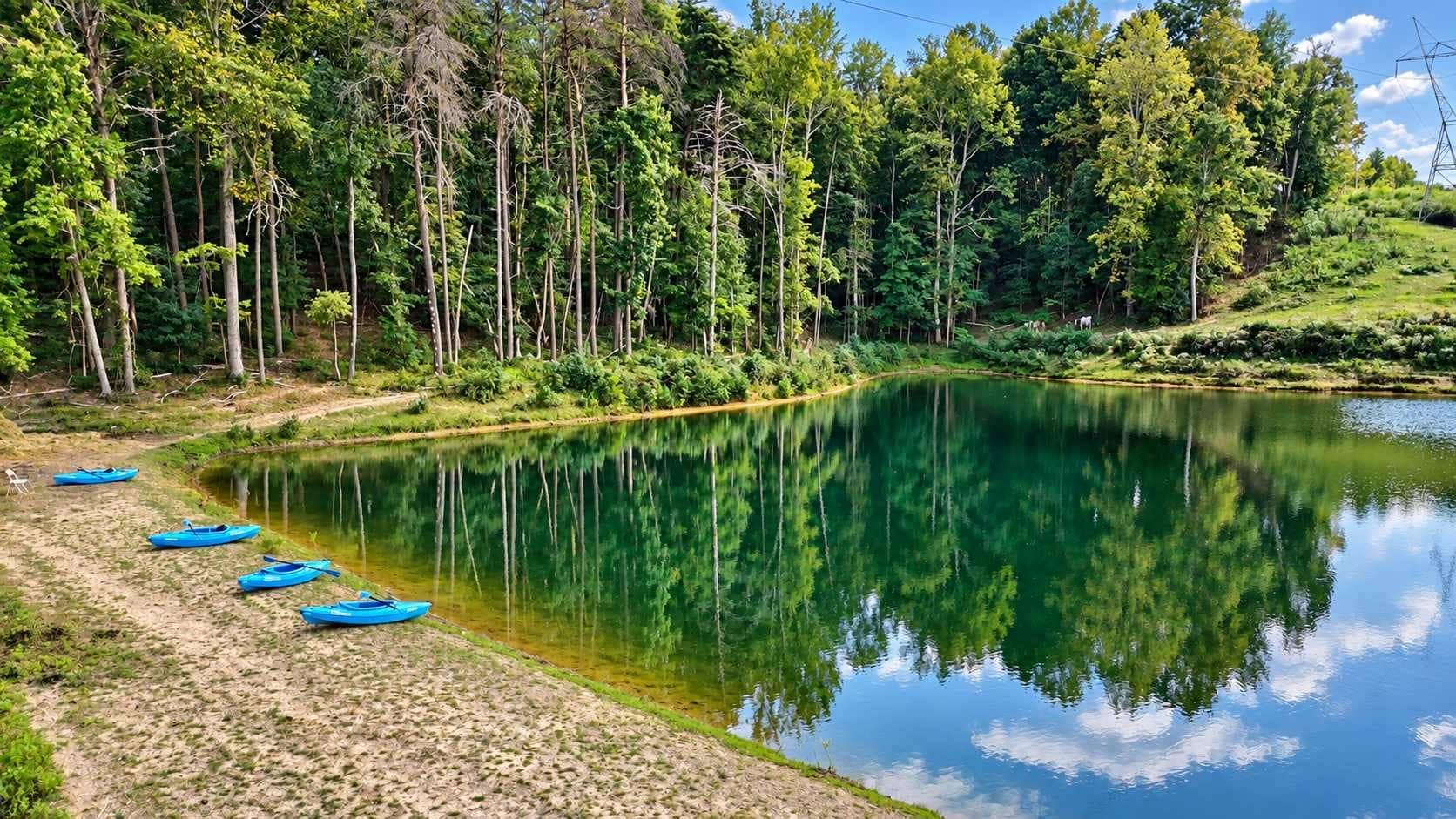 Un lac paisible, entouré d’une forêt dense, avec plusieurs bateaux alignés sur la rive.