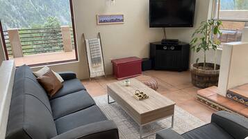 Télévision, cheminée, lecteur de DVD, livres