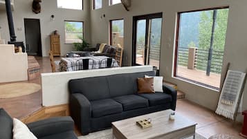 Télévision, cheminée, lecteur de DVD, livres