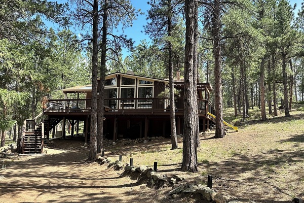 Peaceful Pines