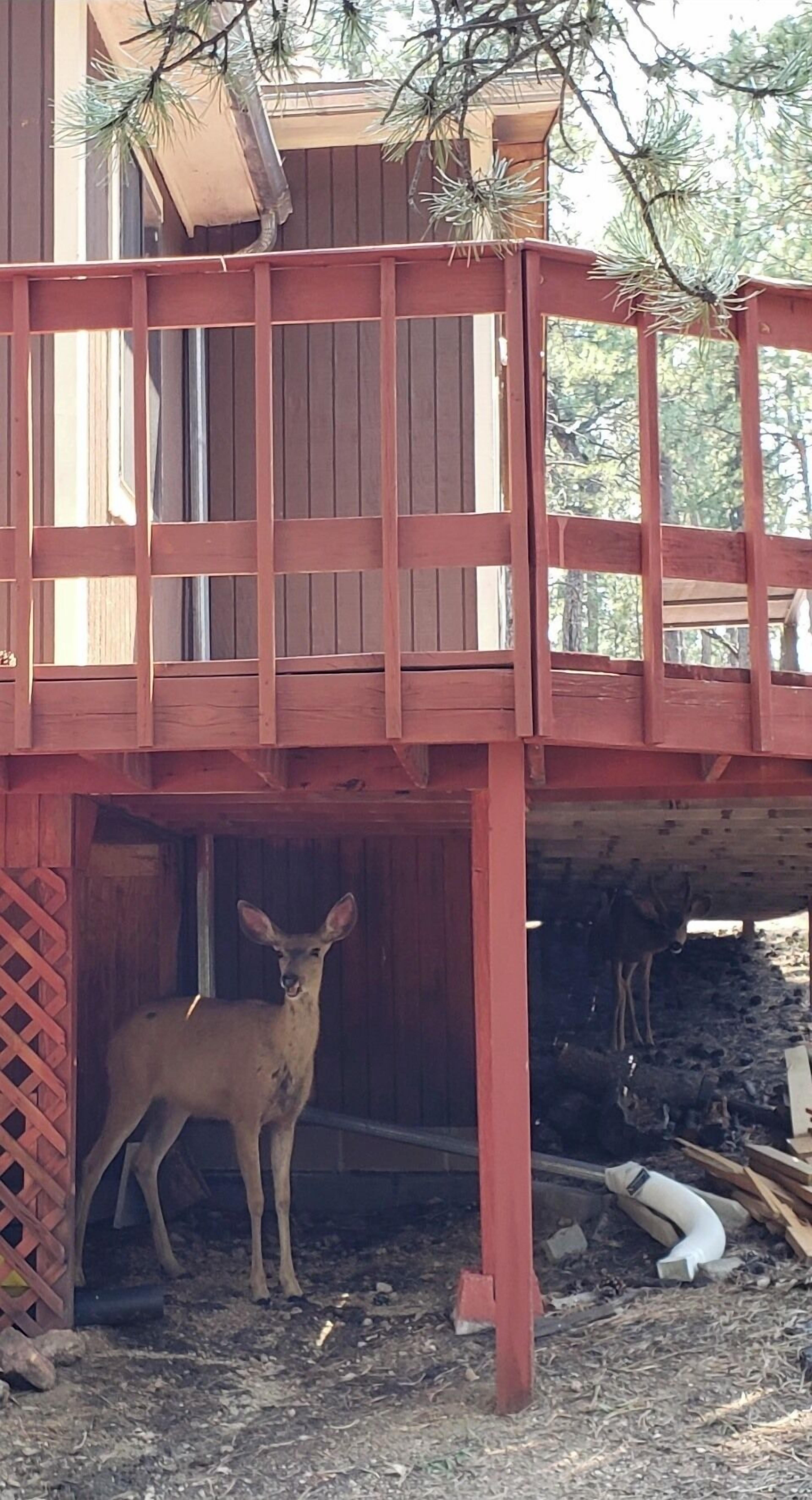 住宿地面