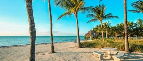 Playa en los alrededores