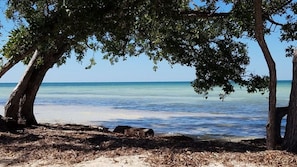 Playa en los alrededores